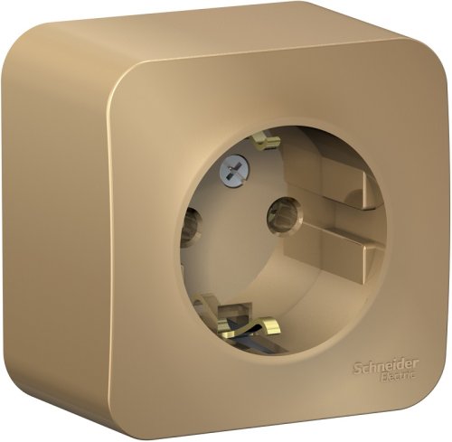 Розетка с заземлением накладная Systeme Electric Blanca 1-м. титан картинка